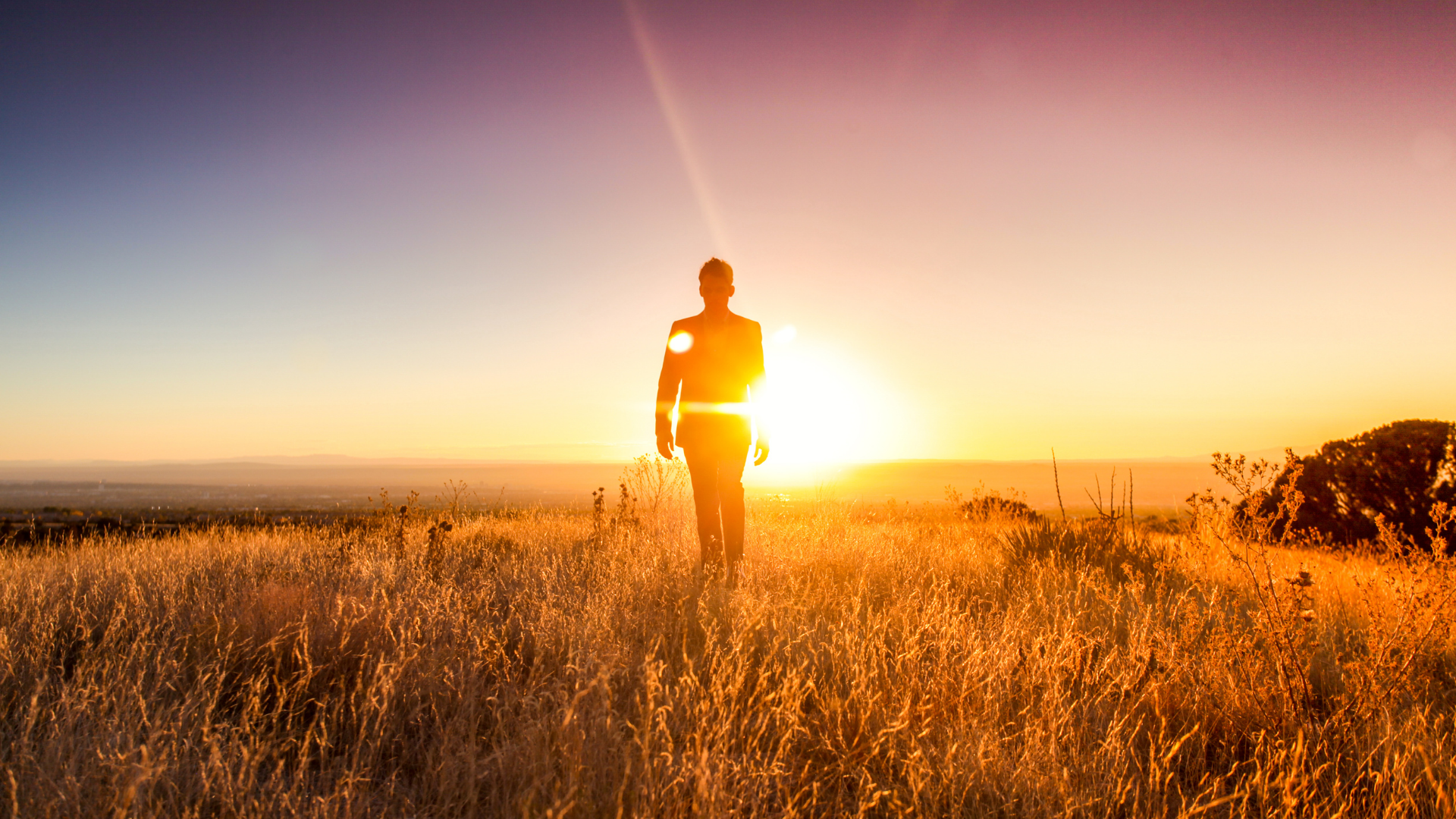 Zabezpieczenie majątku dłużnika w postępowaniu upadłościowym